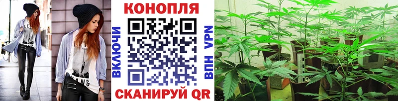 Купить наркотик аптеки Павловская КОКАИН  СК  Кодеин  МЕФ  ГАШИШ 