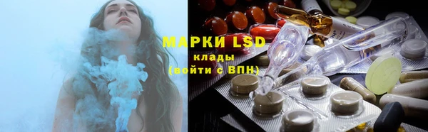 ГАЛЛЮЦИНОГЕННЫЕ ГРИБЫ Балахна