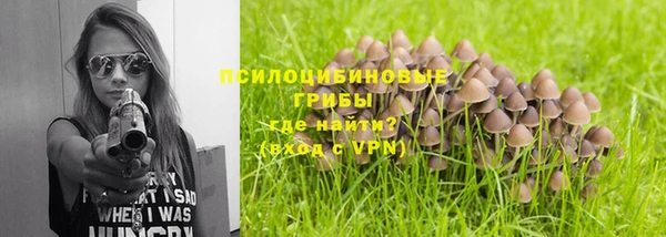 apvp Баксан