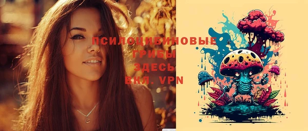 apvp Баксан