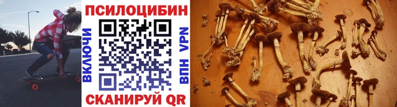Псилоцибиновые грибы мухоморы  Павловская 